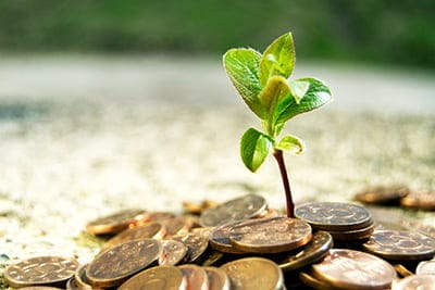 Donate money to efficient activism Donate money to efficient activism