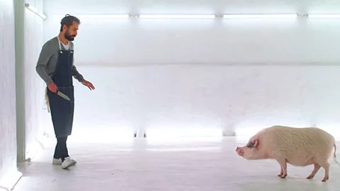 Casa de Carne: The New Short Film That Will Leave You Speechless