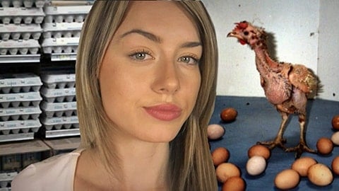 erin-janus-the-egg-industry-480x270-min