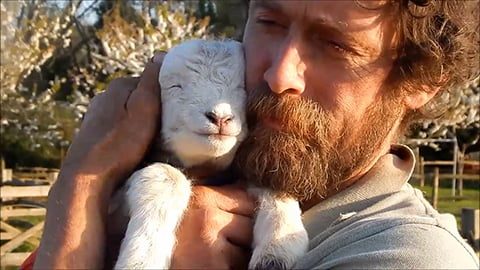 Happy Animals Enjoying Life - A Spectacular and Breathtaking Video Happy Animals Enjoying Life - A Spectacular and Breathtaking Video