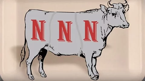 ¿Por qué comemos carne? ¿Qué es el carnismo? Video esclarecedor