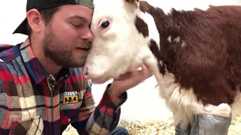 Rescued Animals Receive Love for the First Time
