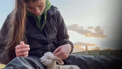 Bonds Beyond Species: Watch Animals Who Love Their Humans