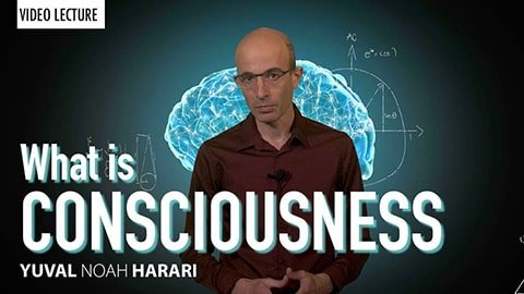 Yuval Noah Harari on Consciousness and Suffering