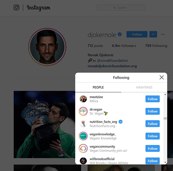 Some of the vegan Instagram accounts Novak Djokovic is following.