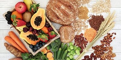 Videos - Beginner's Guides to Veganism