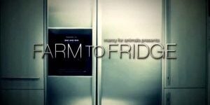 Farm To Fridge - The Truth Behind Meat Production